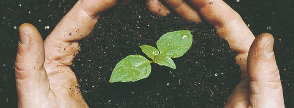 Hänger det på jorden?